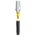 Narrow BioniQ S2.9 implants